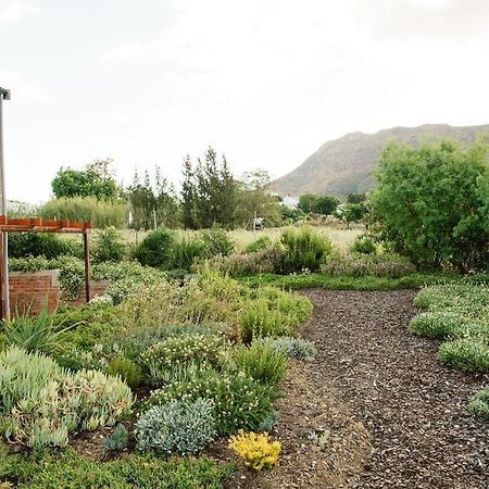 Vineyard Views Country House Riebeek-Kasteel Esterno foto