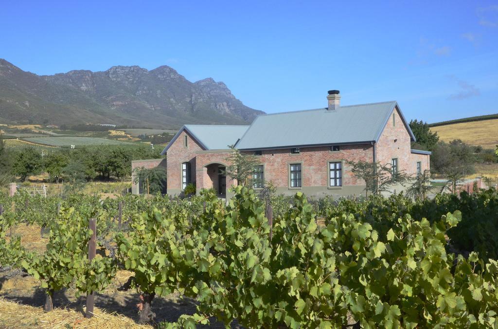 Vineyard Views Country House Riebeek-Kasteel Esterno foto