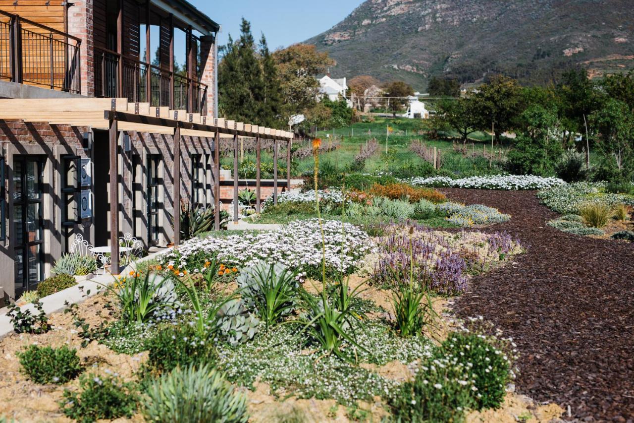 Vineyard Views Country House Riebeek-Kasteel Esterno foto