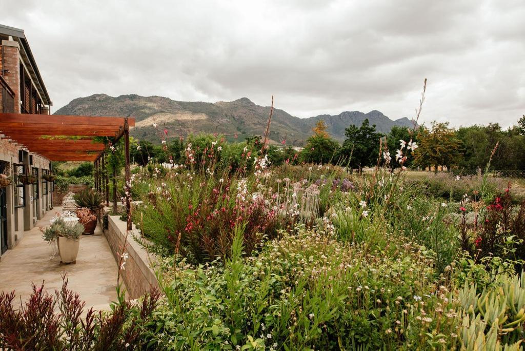 Vineyard Views Country House Riebeek-Kasteel Esterno foto