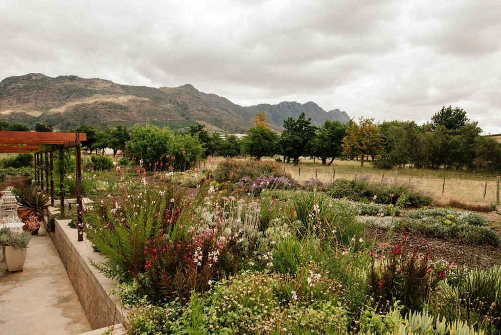 Vineyard Views Country House Riebeek-Kasteel Esterno foto