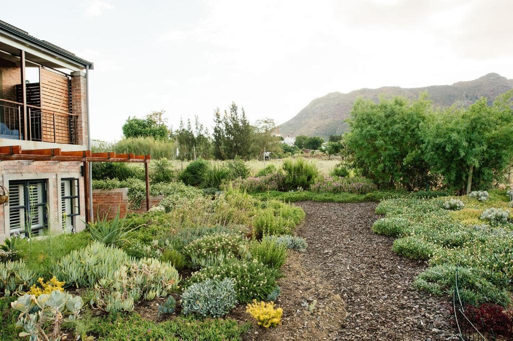 Vineyard Views Country House Riebeek-Kasteel Esterno foto