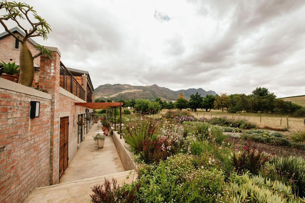 Vineyard Views Country House Riebeek-Kasteel Esterno foto