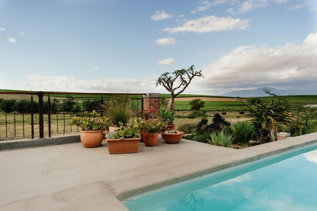Vineyard Views Country House Riebeek-Kasteel Esterno foto