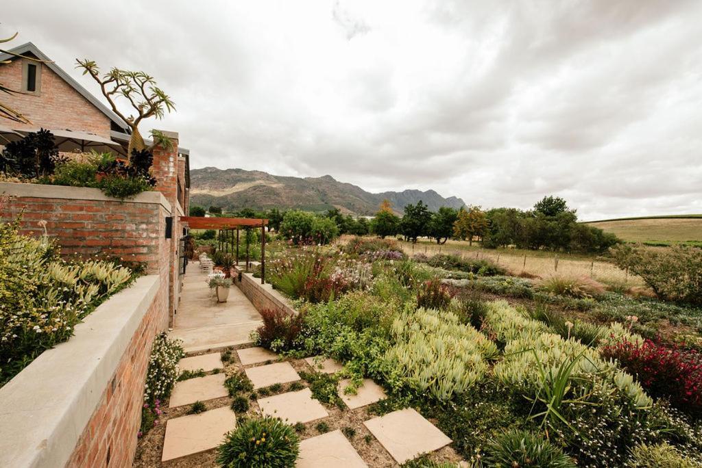 Vineyard Views Country House Riebeek-Kasteel Esterno foto